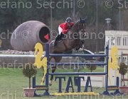 De Simone Teddy TosTour 2013- S5 7826 : Arezzo Equestrian Centre, De Simone Rossella, Teddy, Toscana Tour 2013, foto di Stefano Secchi ©